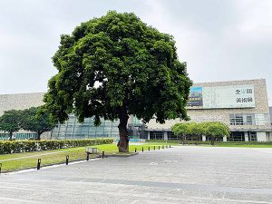 国立台湾美術館