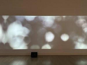 大巻伸嗣個展