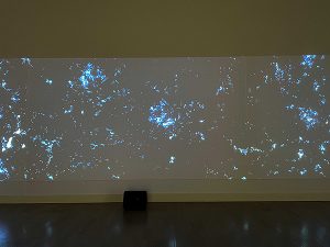 大巻伸嗣個展