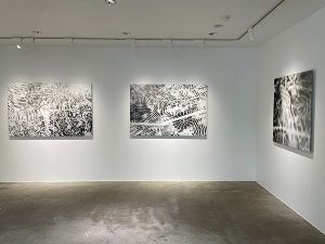 大巻伸嗣個展